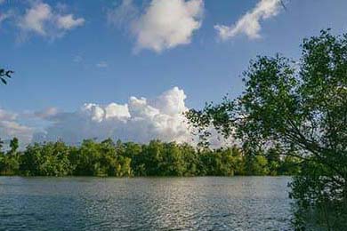 夢幻西游sf發布網站